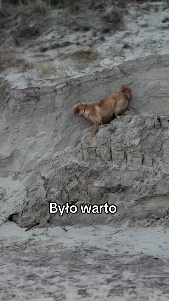 TikTok video thumbnail by beza_golden
