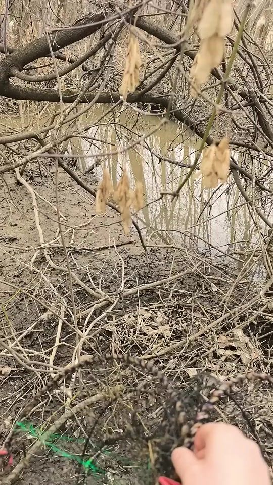 TikTok video thumbnail by angler_kh
