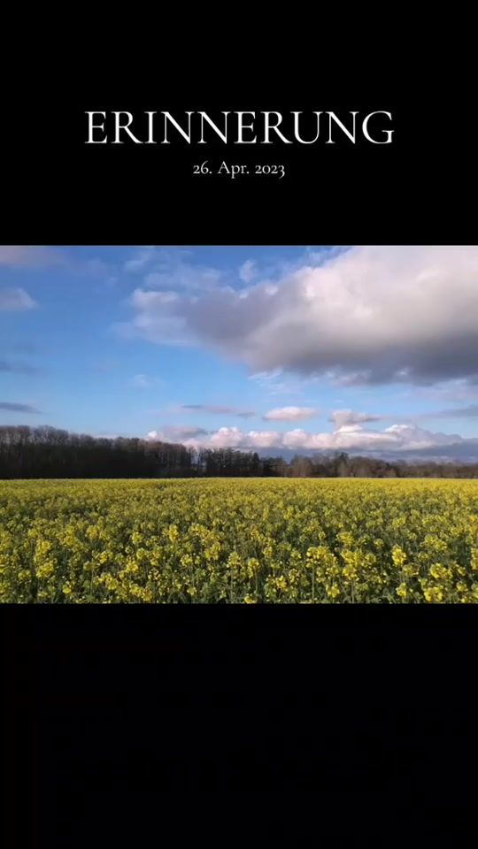 TikTok video thumbnail by elenavo79