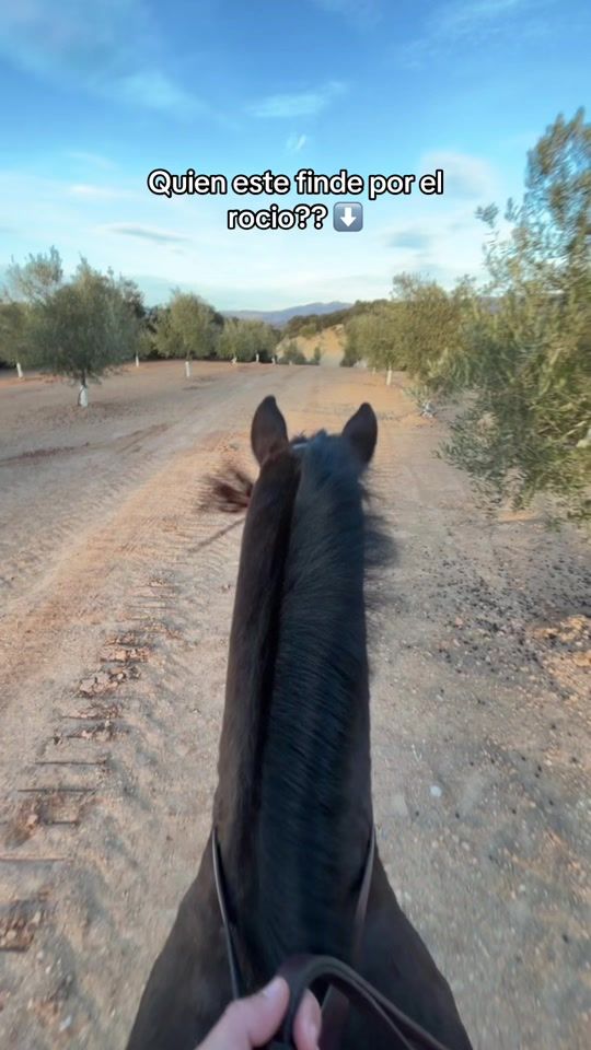 TikTok video thumbnail by rauulcebriian_