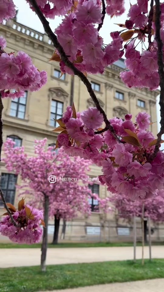 TikTok video thumbnail by hanen_soltani