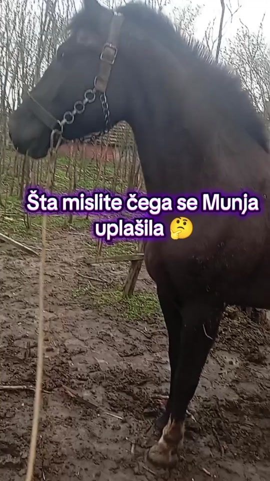TikTok video thumbnail by jukich_5