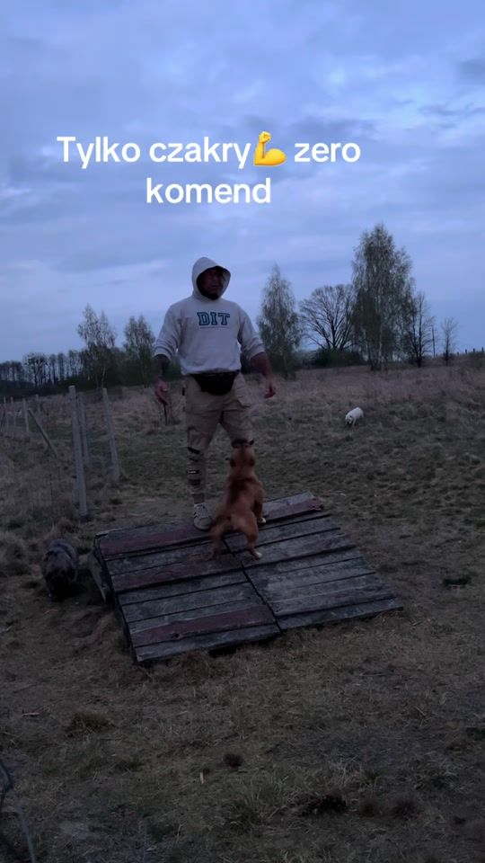 TikTok video thumbnail by siwywiking