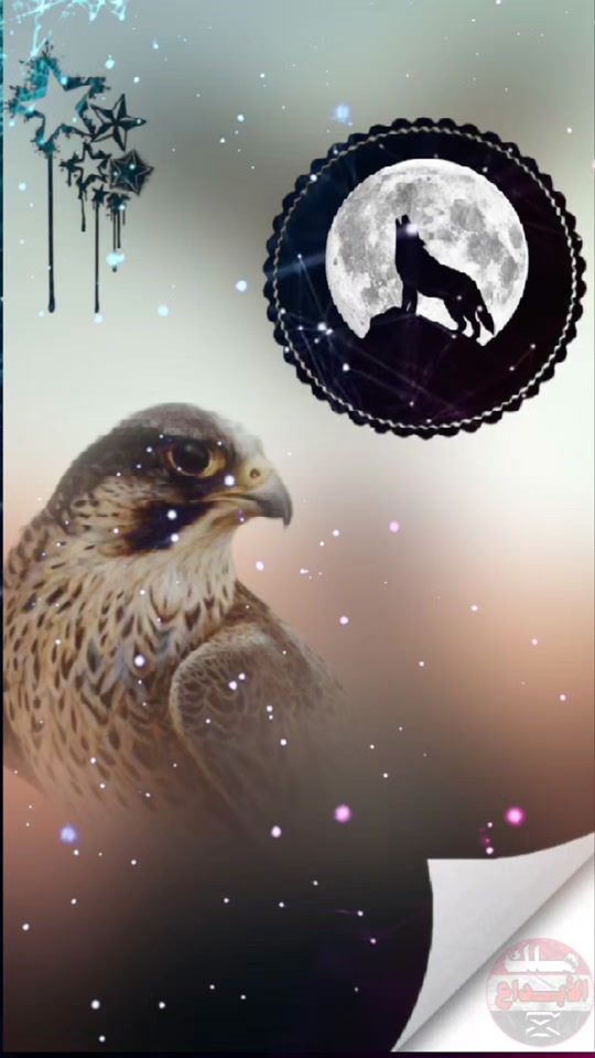 TikTok video thumbnail by ahmad.kaled98