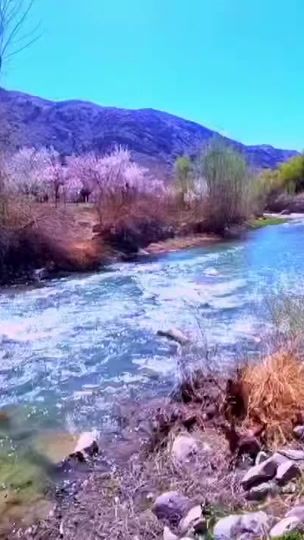 TikTok video thumbnail by roya.0102