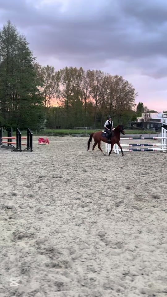 TikTok video thumbnail by equi_meysa