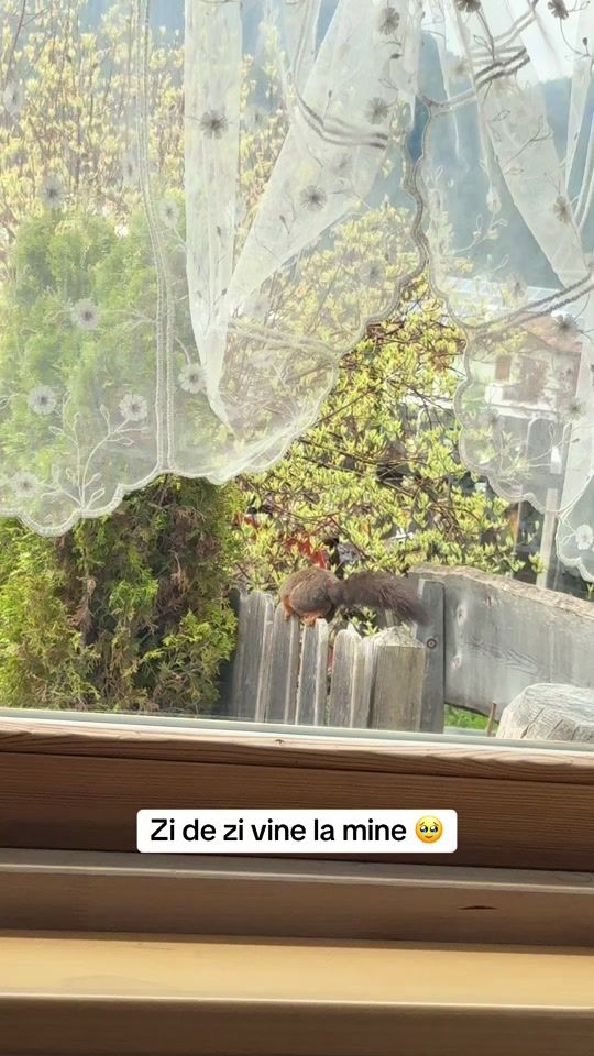 TikTok video thumbnail by leo_ungureanu0