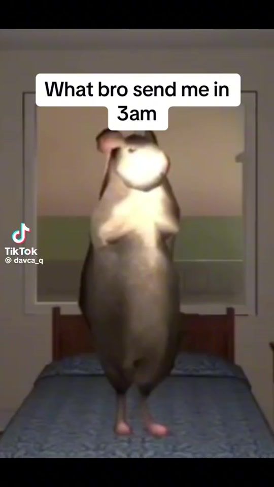 TikTok video thumbnail by jana_glenn