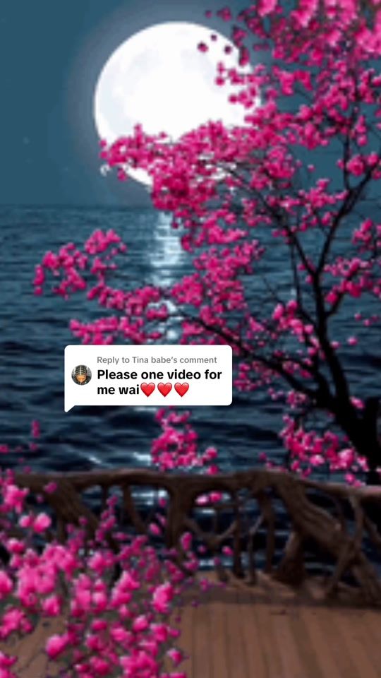 TikTok video thumbnail by booboobish2