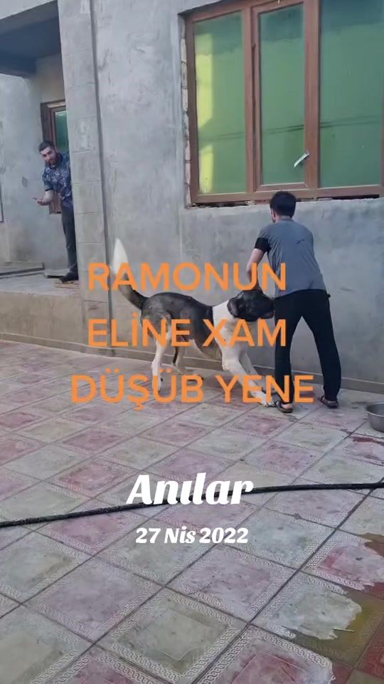 TikTok video thumbnail by abbass.546