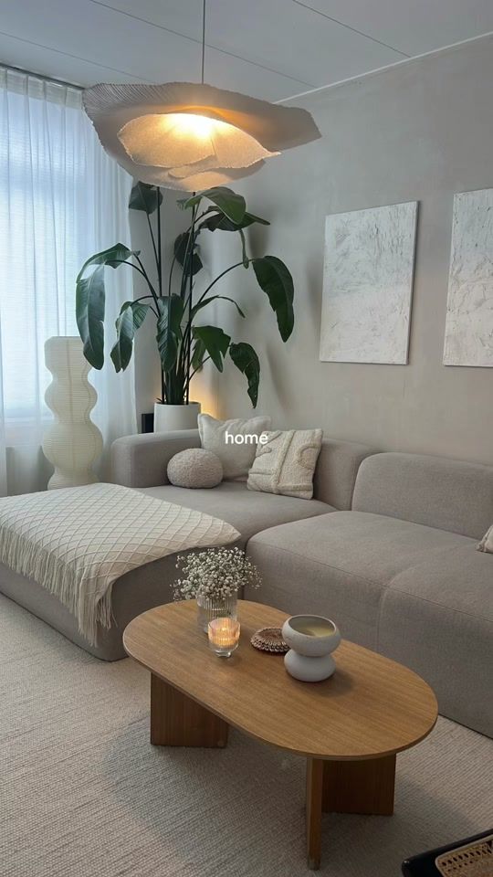 TikTok video thumbnail by siefshome
