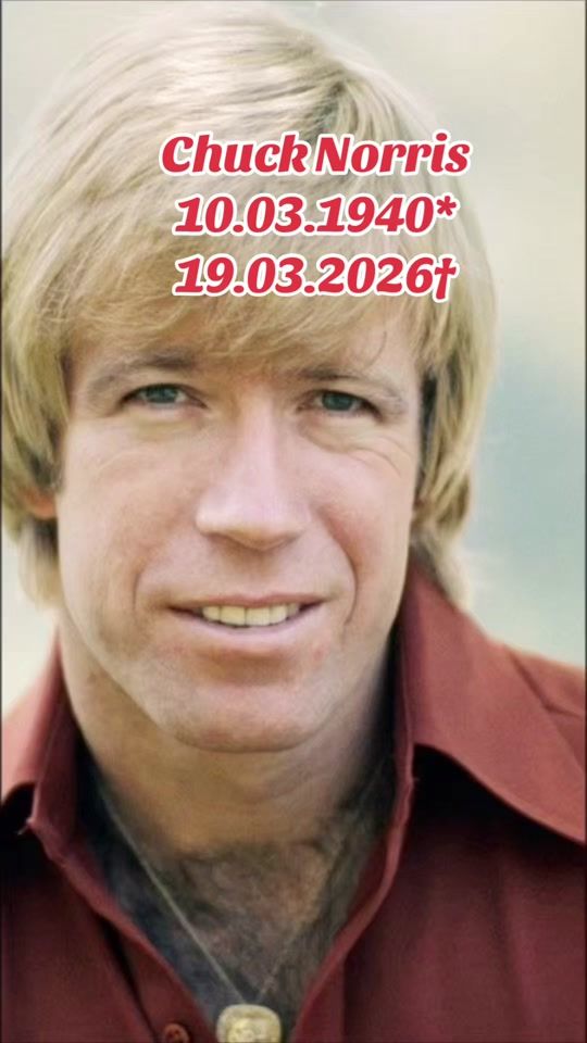 TikTok video thumbnail by andreas_seidel_1992