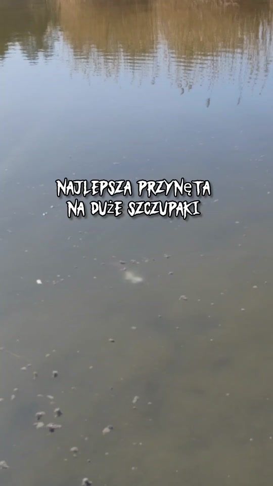 TikTok video thumbnail by mfly_lures
