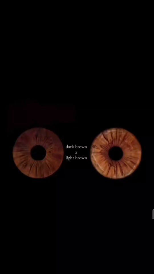 TikTok video thumbnail by secretacc67bro
