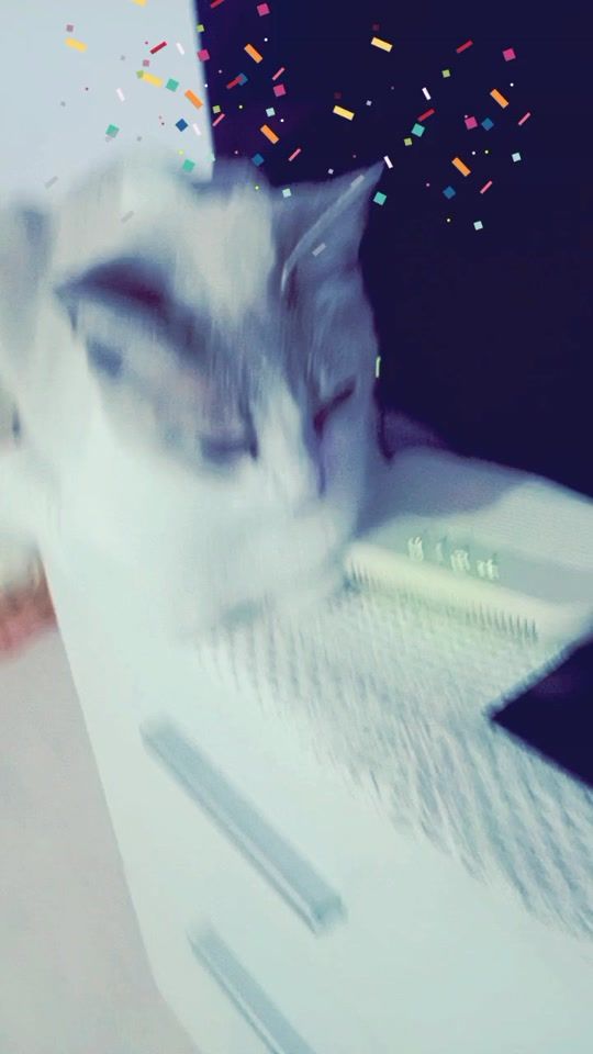 TikTok video thumbnail by faatimaafatii