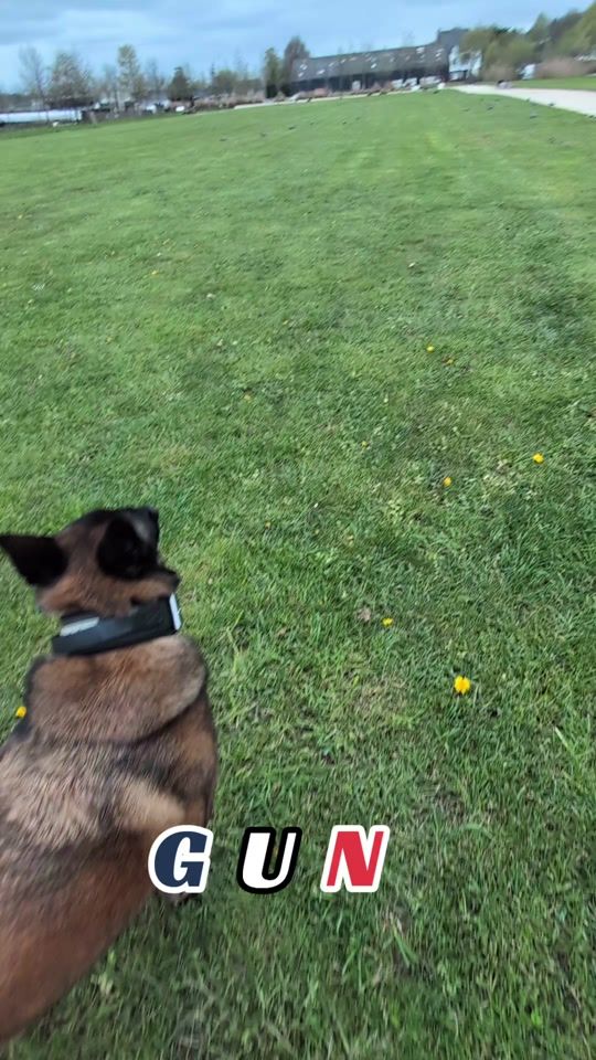 TikTok video thumbnail by rali7850