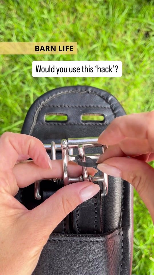 TikTok video thumbnail by dutch.equestrian.nl