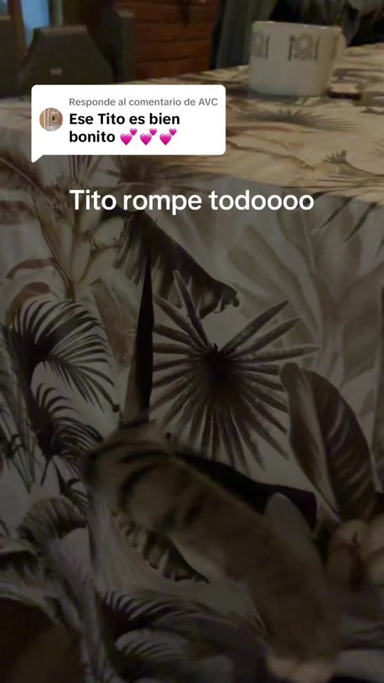 TikTok video thumbnail by ayelenchielli