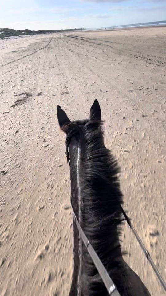 TikTok video thumbnail by the.pony.april