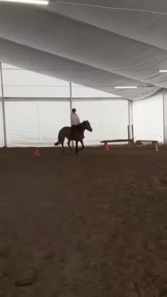 TikTok video thumbnail by jusiaa._equestrian