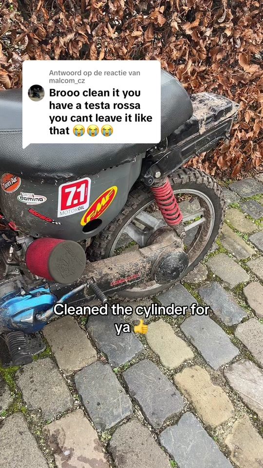 TikTok video thumbnail by wallarooh2o