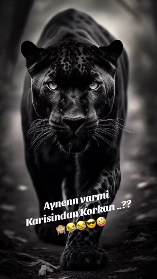 TikTok video thumbnail by __mihrisultan37