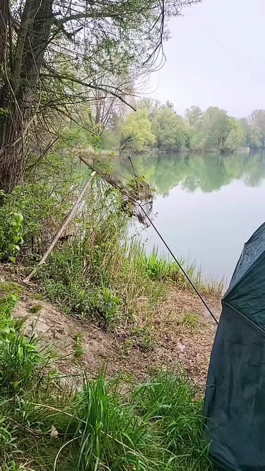 TikTok video thumbnail by flomby_c.r