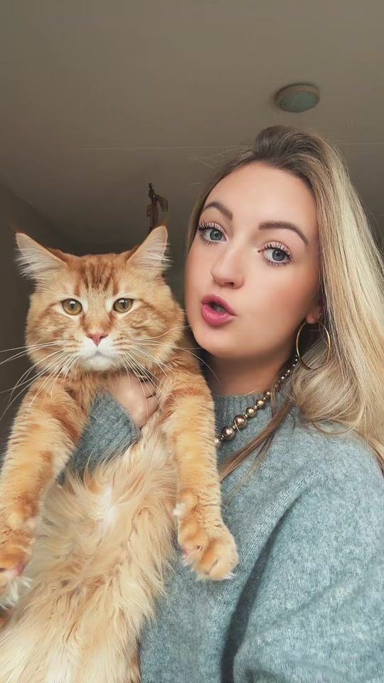 TikTok video thumbnail by sophie.hendriks