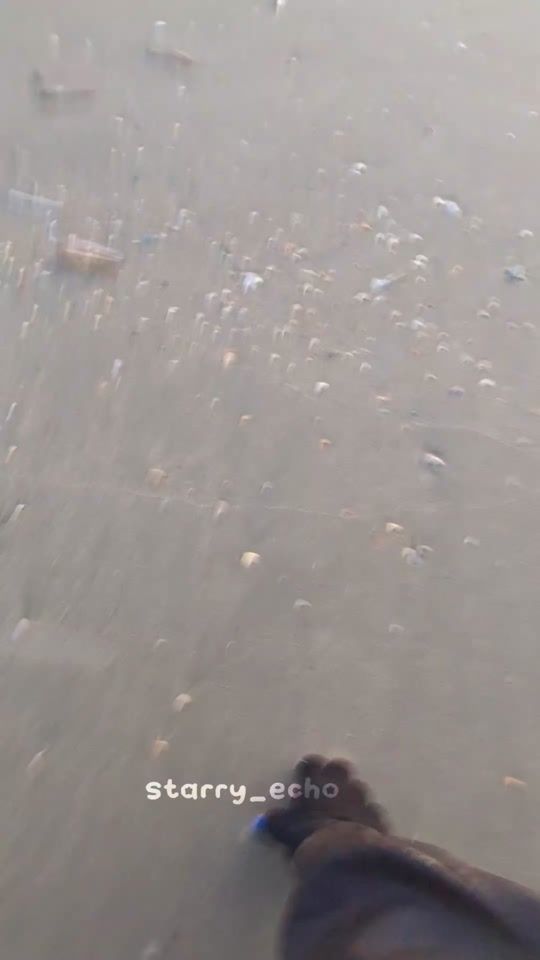 TikTok video thumbnail by starry_echo