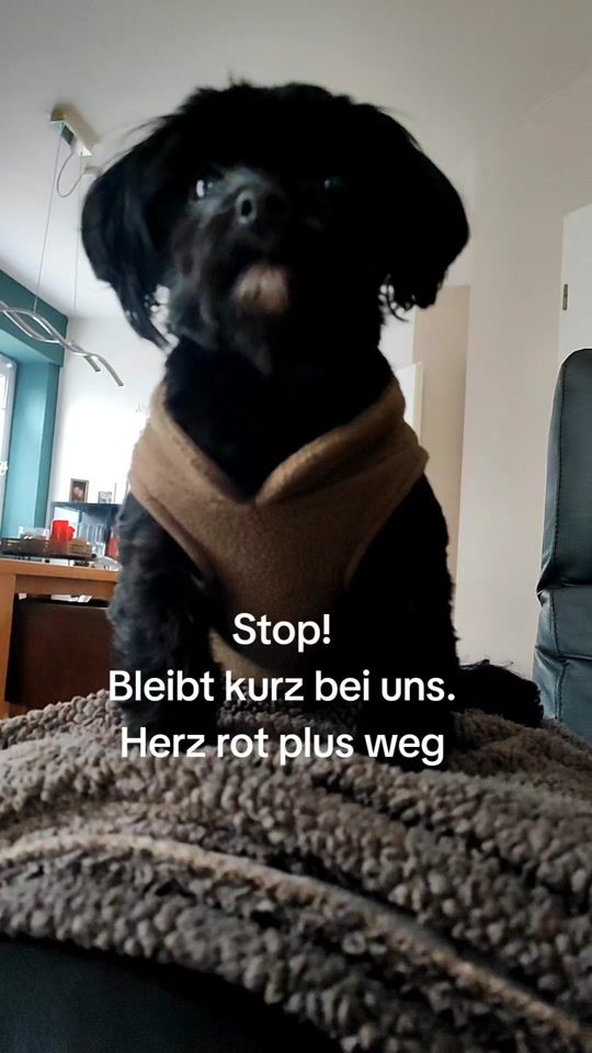 TikTok video thumbnail by pppi826
