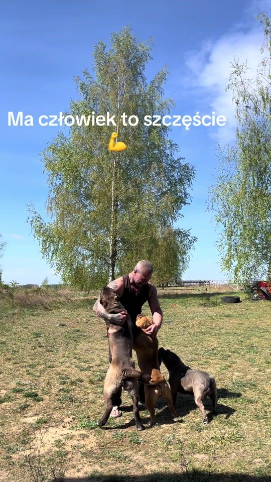 TikTok video thumbnail by siwywiking