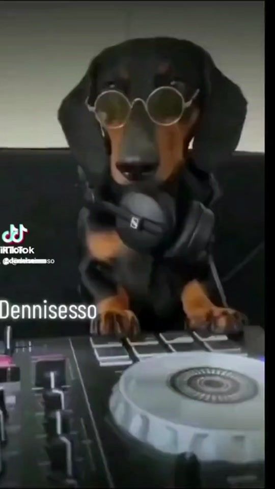 TikTok video thumbnail by dennisesso