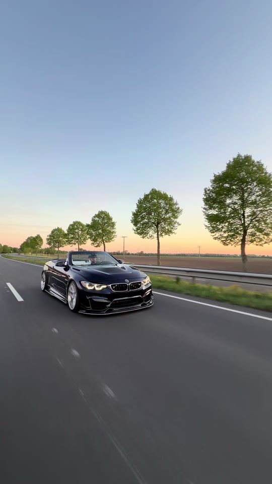 TikTok video thumbnail by sqp_hares