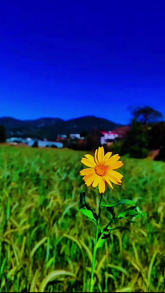TikTok video thumbnail by islam.aesthetic2