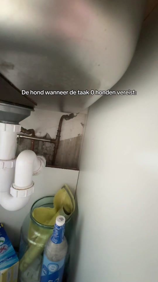 TikTok video thumbnail by nikolashorbacz_