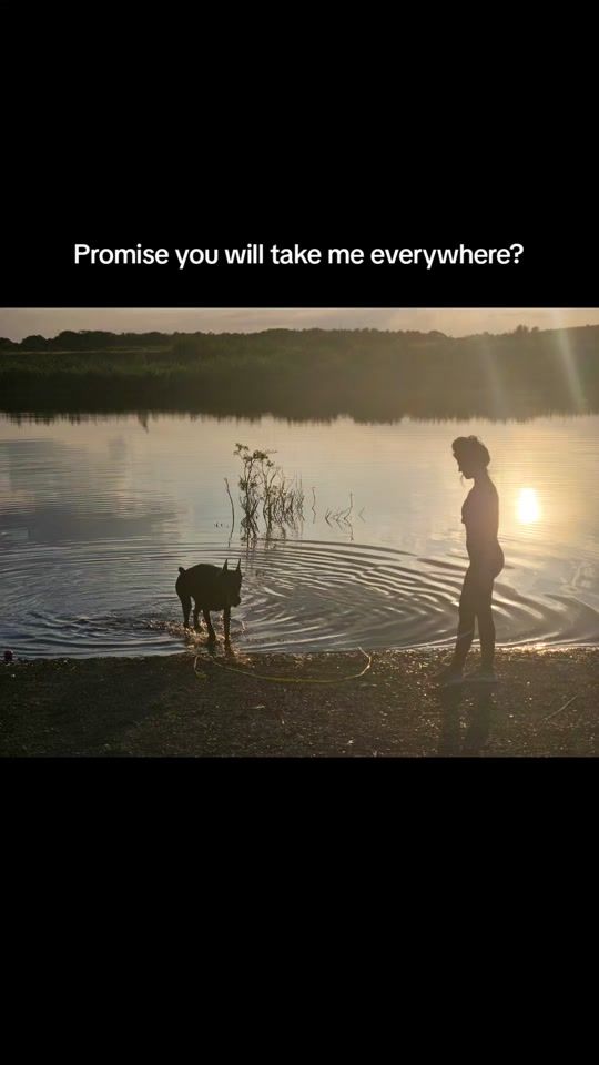 TikTok video thumbnail by lady.and.the.dobermann