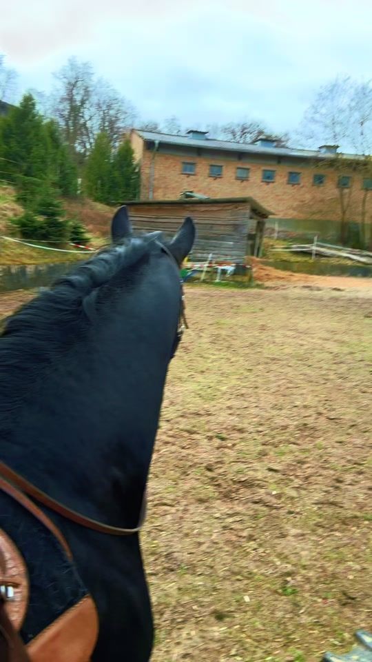 TikTok video thumbnail by wonne24