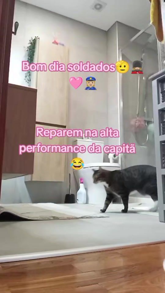 TikTok video thumbnail by lenelene58