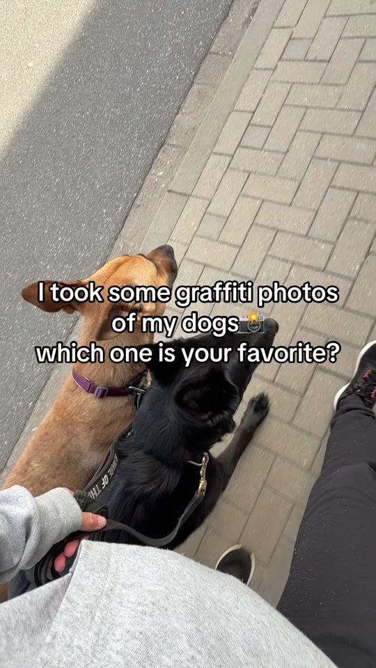 TikTok video thumbnail by working.pair