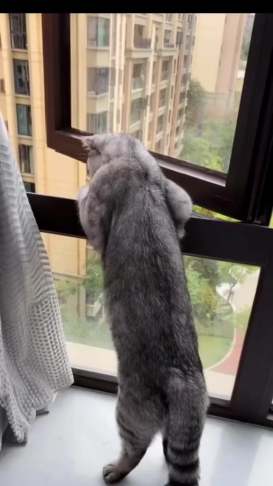 TikTok video thumbnail by maria_diabinho