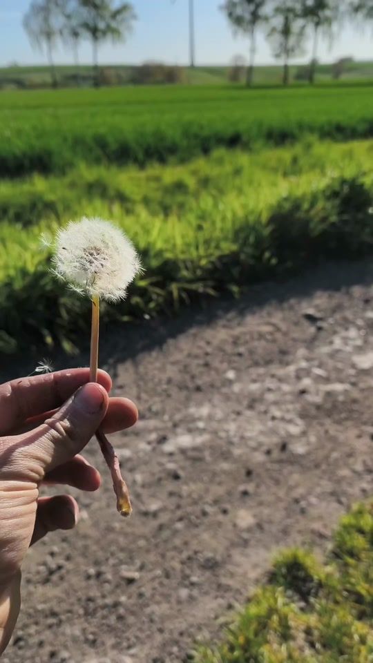 TikTok video thumbnail by marv_snakes