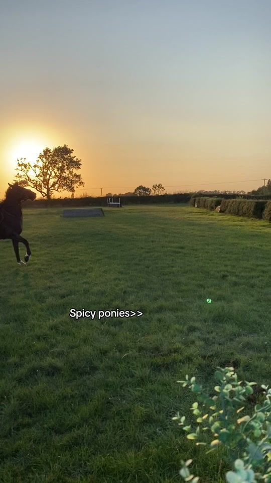 TikTok video thumbnail by flo_eventing_