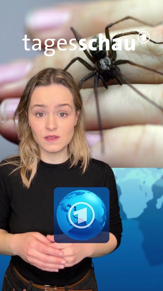 TikTok video thumbnail by tagesschau