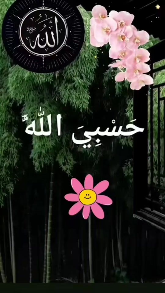 TikTok video thumbnail by amarraja241