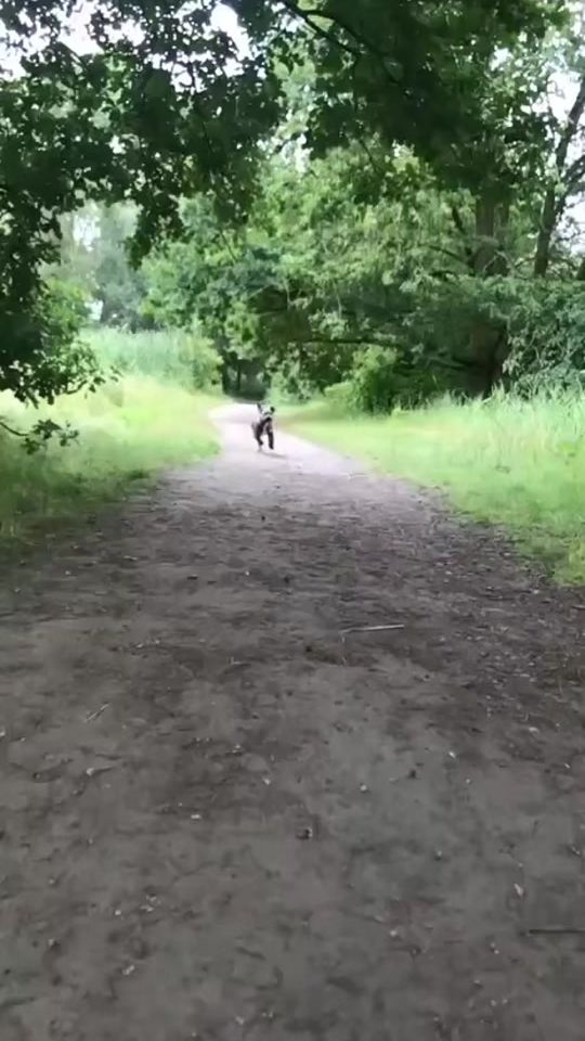 TikTok video thumbnail by tyson_memoly79