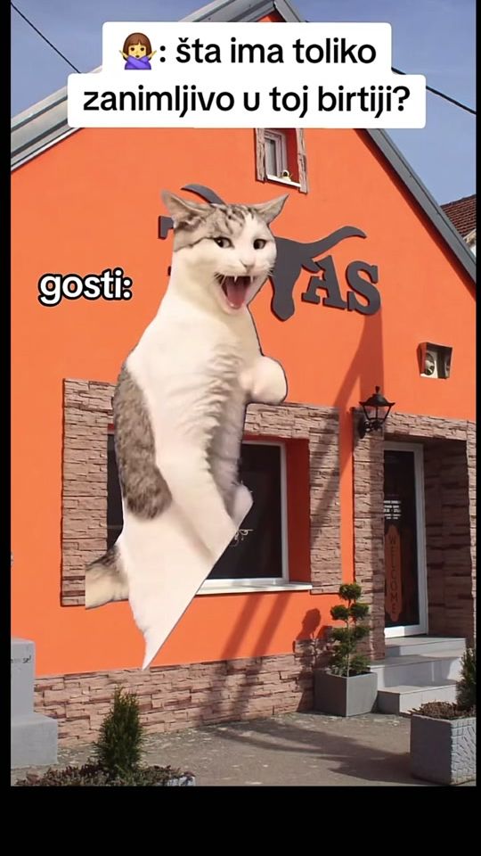 TikTok video thumbnail by petarvlasic99