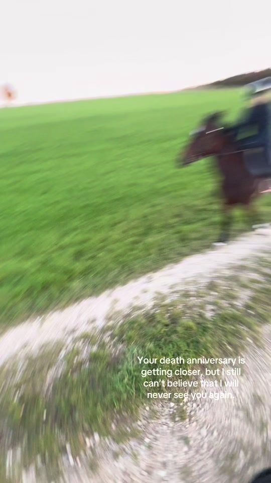 TikTok video thumbnail by showjumper_ontour