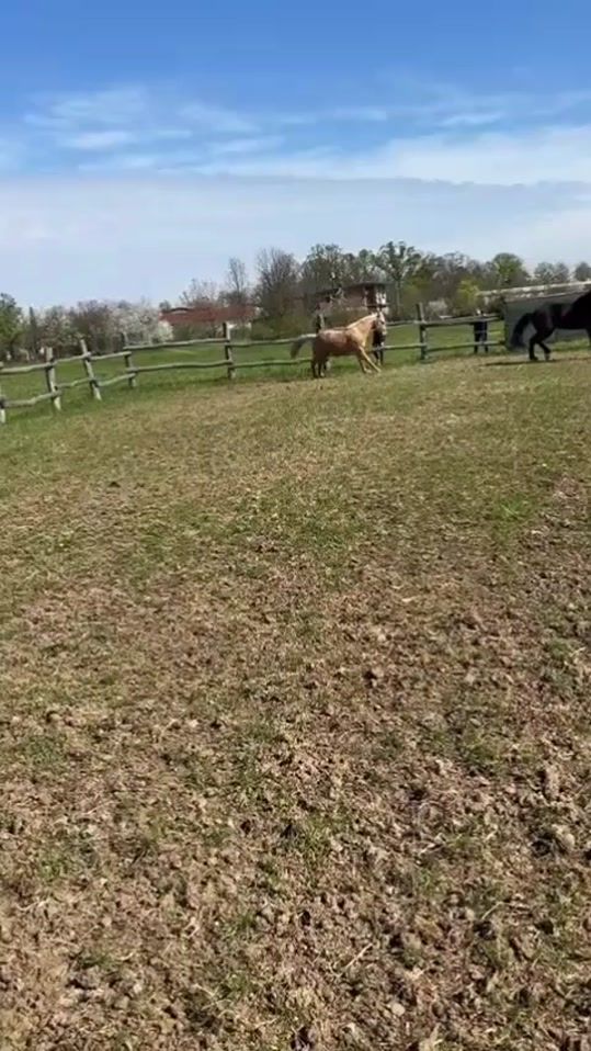 TikTok video thumbnail by emilija3199