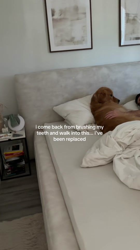 TikTok video thumbnail by bearsonberry