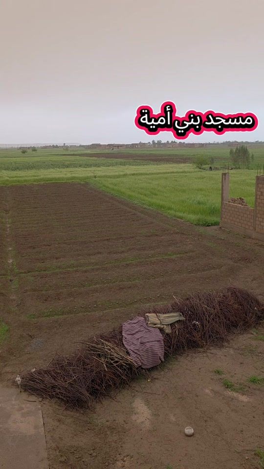 TikTok video thumbnail by abo.asmr.11